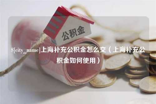 乐平上海补充公积金怎么交（上海补充公积金如何使用）